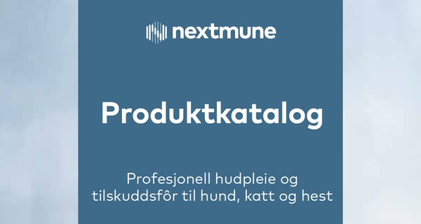 Produktkatalog-2025-thumbnail