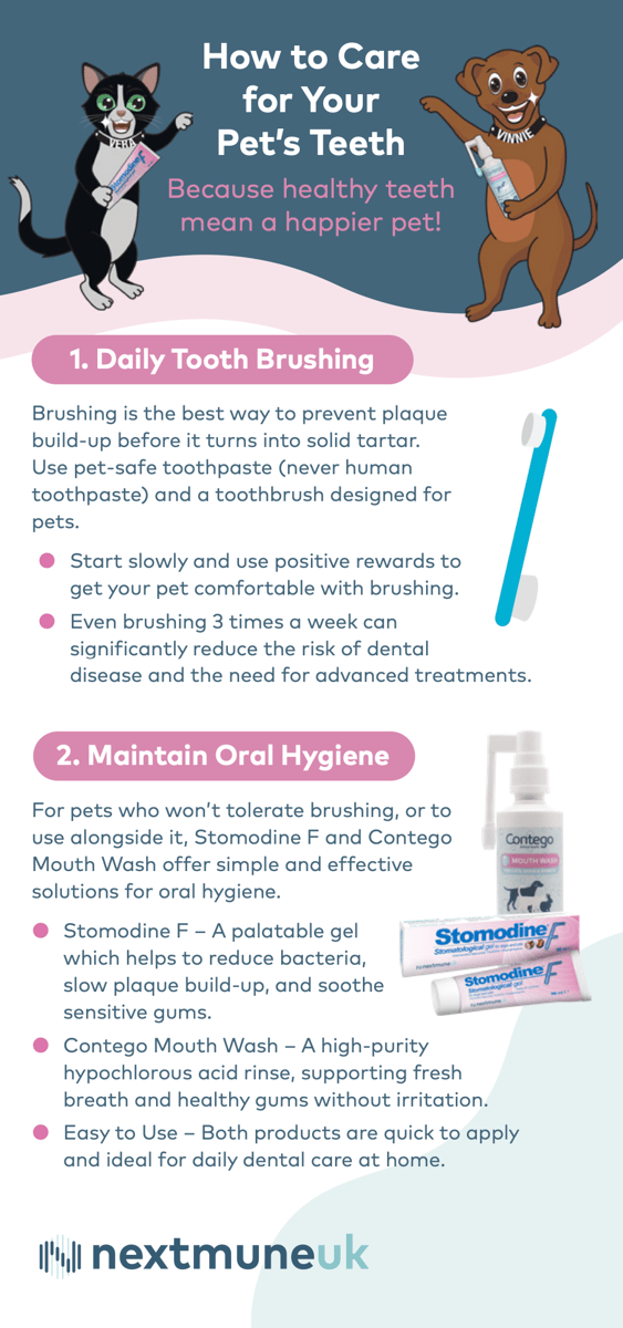 NEX108 - Pet Dental Healthcare Leaflet